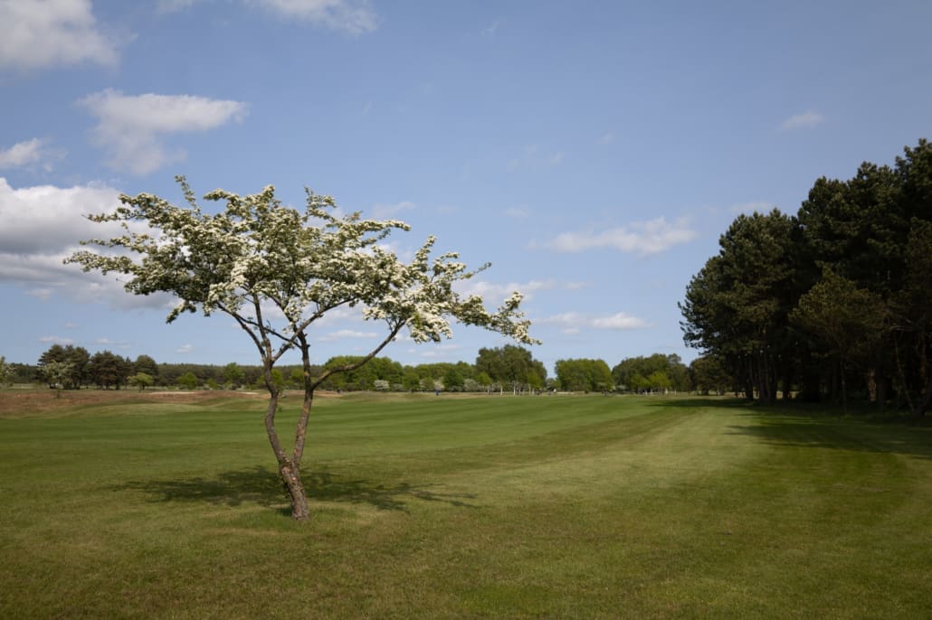 Jinbacksstudio_Ystad Golfklubb_250531-026
