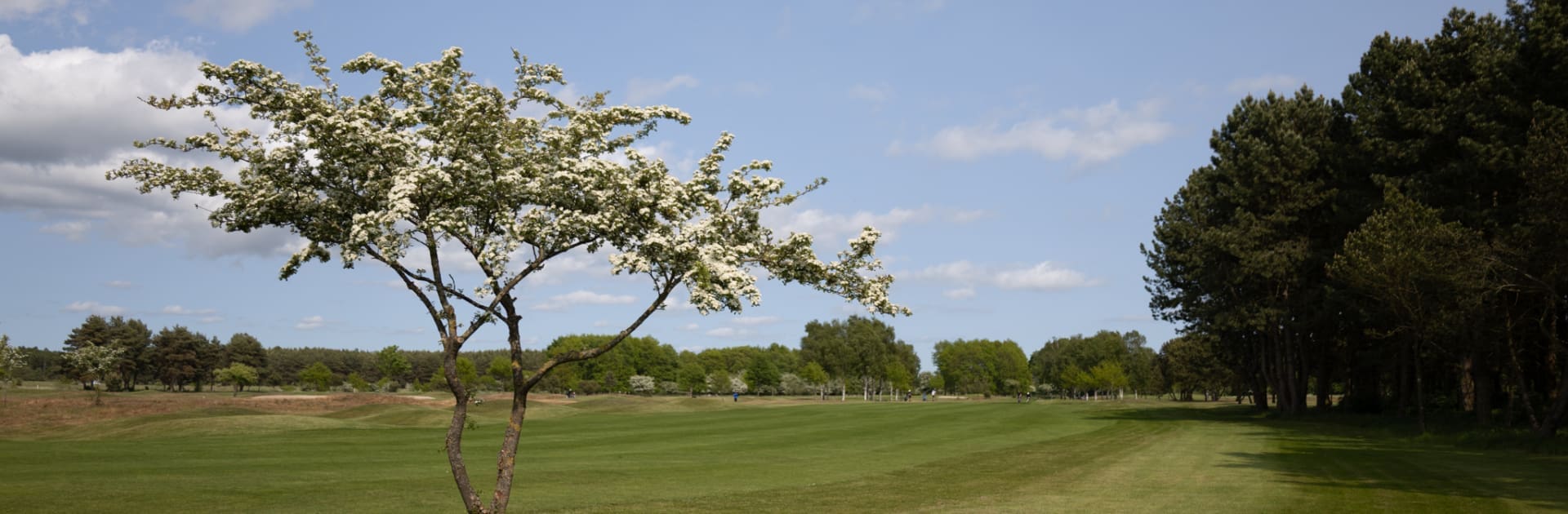 Jinbacksstudio_Ystad Golfklubb_250531-026