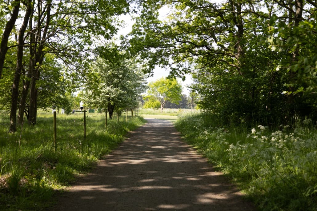 Jinbacksstudio_Ystad Golfklubb_250531-092