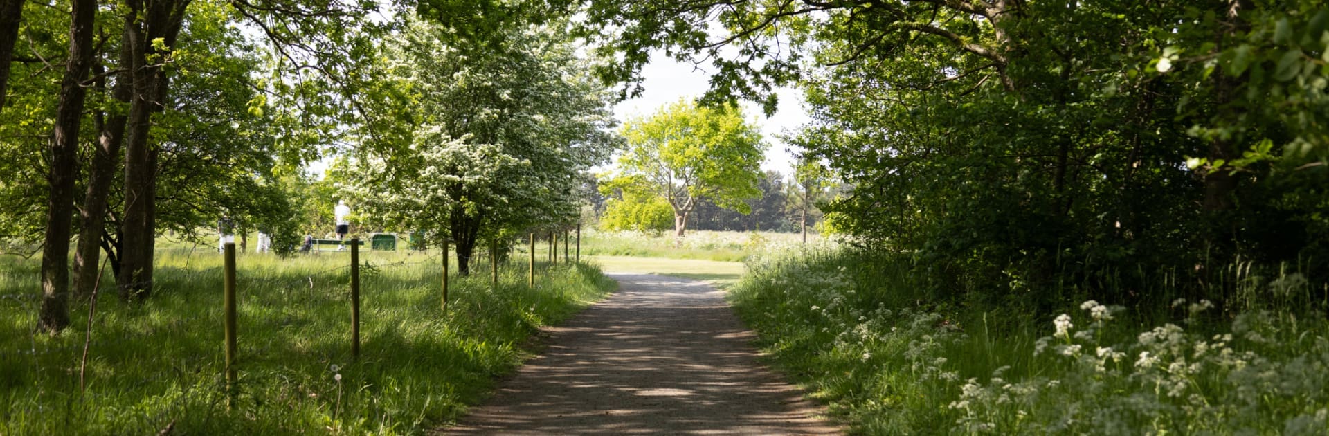 Jinbacksstudio_Ystad Golfklubb_250531-092